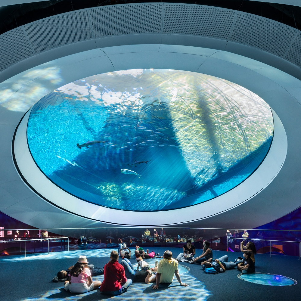 Visitors beneath the aquarium oculus at Frost Science